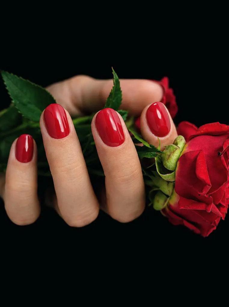 Sarkani nagi ar gēllaku un roze